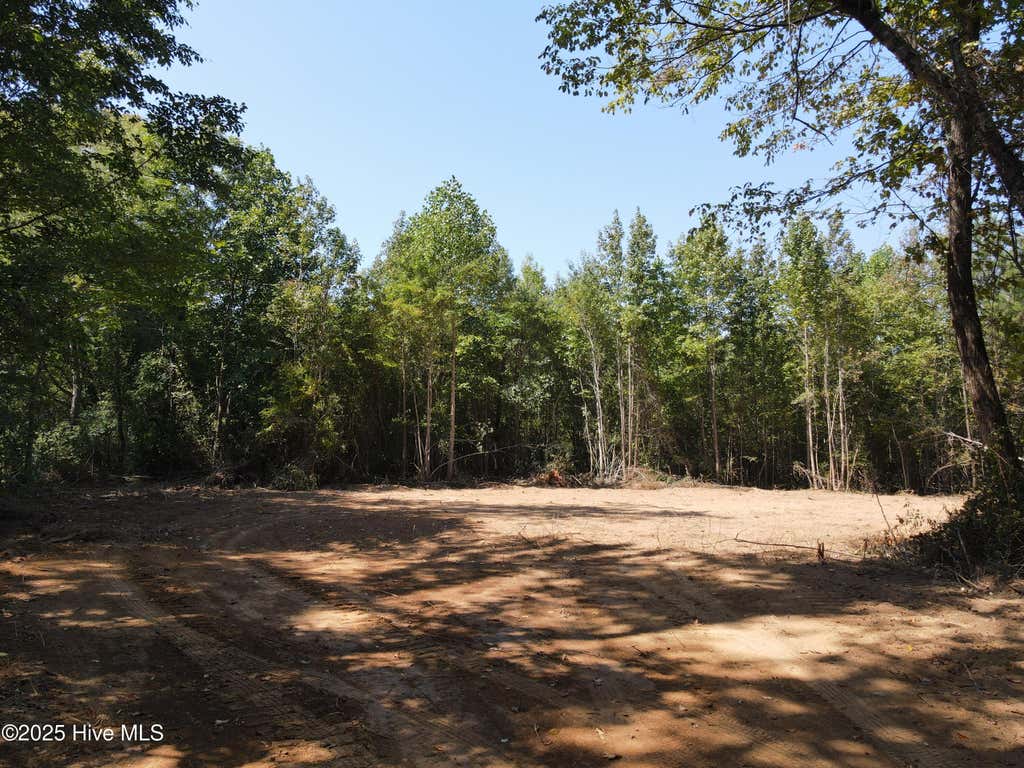Photo of 00 Alert Road, Louisburg, NC 27549 (MLS # 100598662)