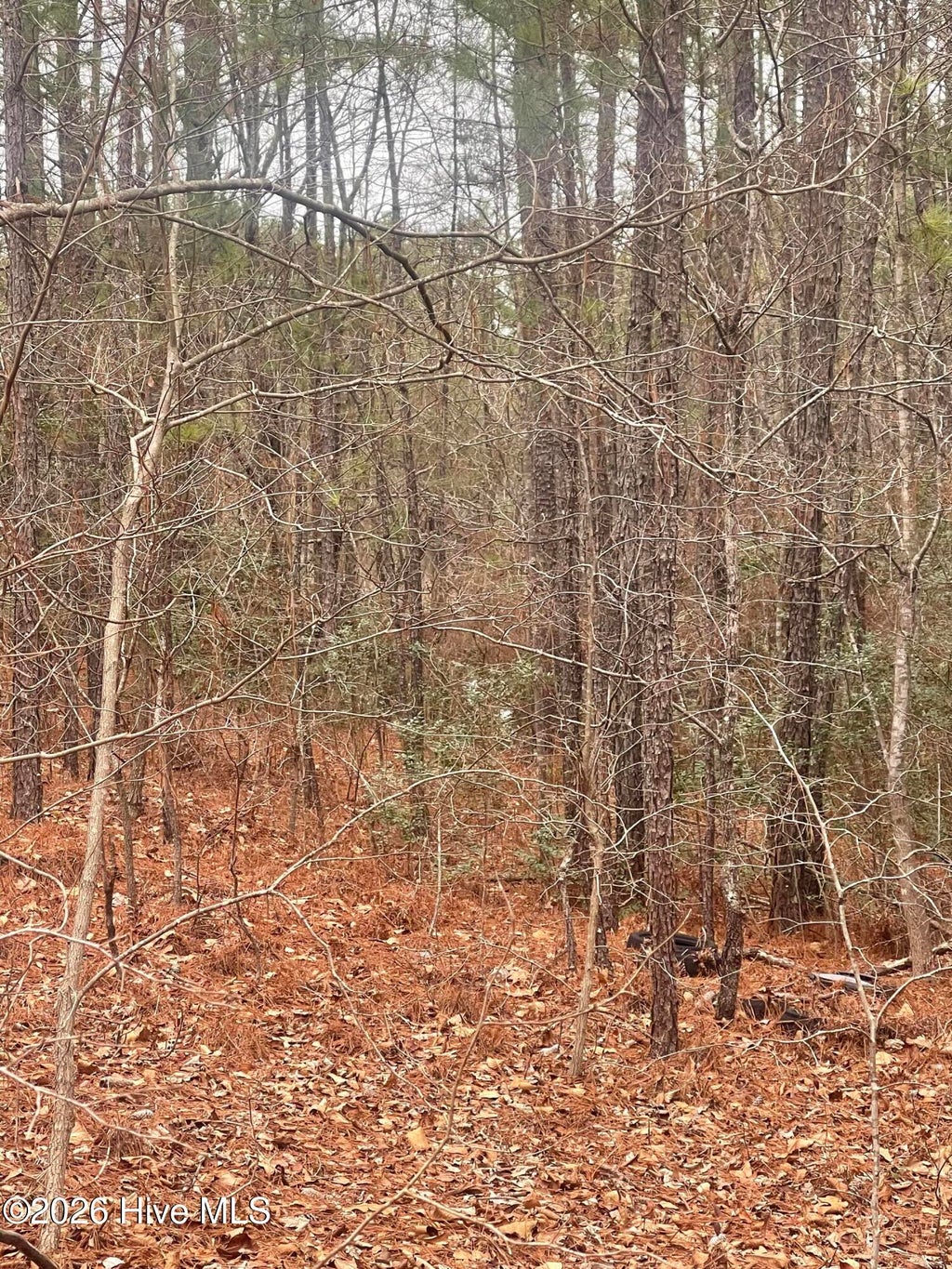 Photo of 7 Bumpy Lane, Sanford, NC 27332 (MLS # 100590914)