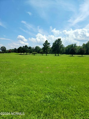 338 SCOTCH HALL BLVD, MERRY HILL, NC 27957 - Image ebeee69f521fdae1c1cd4b212433a571/3394034292
