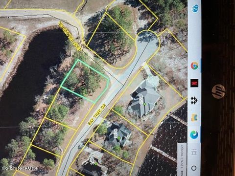 Vacant Land For Sale - 432 Bay Tree Drive<br/> Bladen County, Harrells, NC 28444