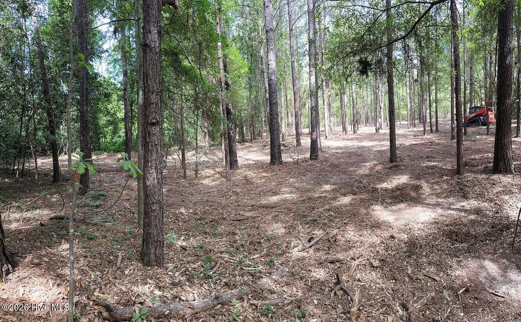 Photo of 1679 W Massachusetts Avenue, Southern Pines, NC 28387 (MLS # 100568023)