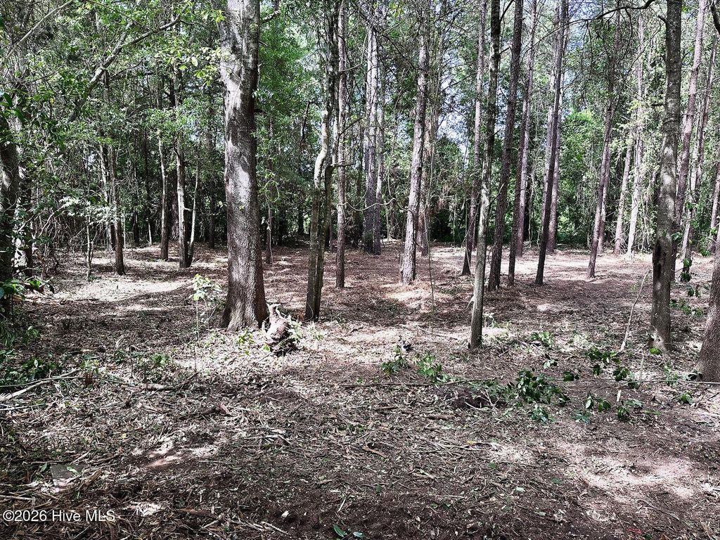 Photo of 1679 W Massachusetts Avenue, Southern Pines, NC 28387 (MLS # 100568023)