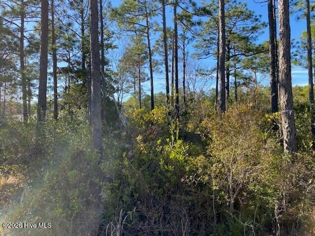 Photo of 79 Sunset Drive, Boiling Spring Lakes, NC 28461 (MLS # 100561285)