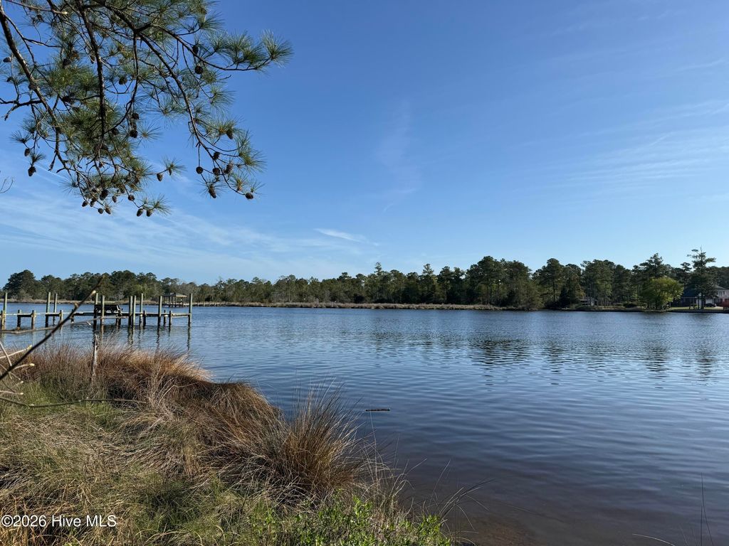 Photo of 269 Shell Castle Lane, Vandemere, NC 28587 (MLS # 100567684)