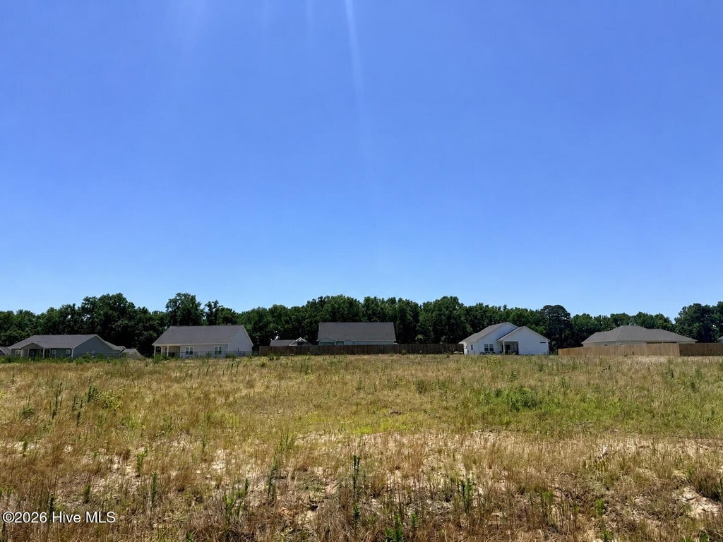 Photo of 202 Jackson Ridge Way, Pikeville, NC 27863 (MLS # 100588024)