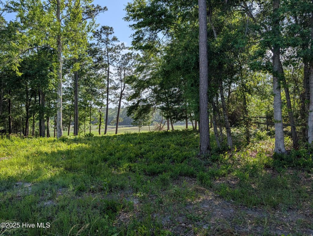 Photo of 1709 Star Cross Drive SW, Shallotte, NC 28470 (MLS # 100574293)