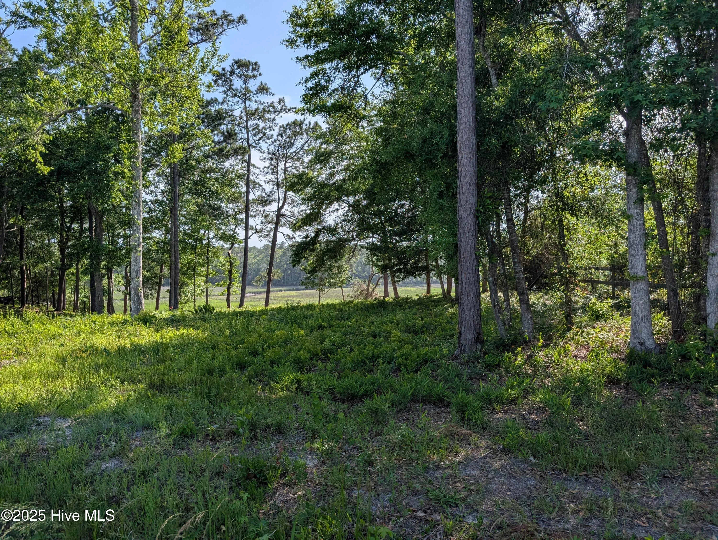 1709 Star Cross Drive SW