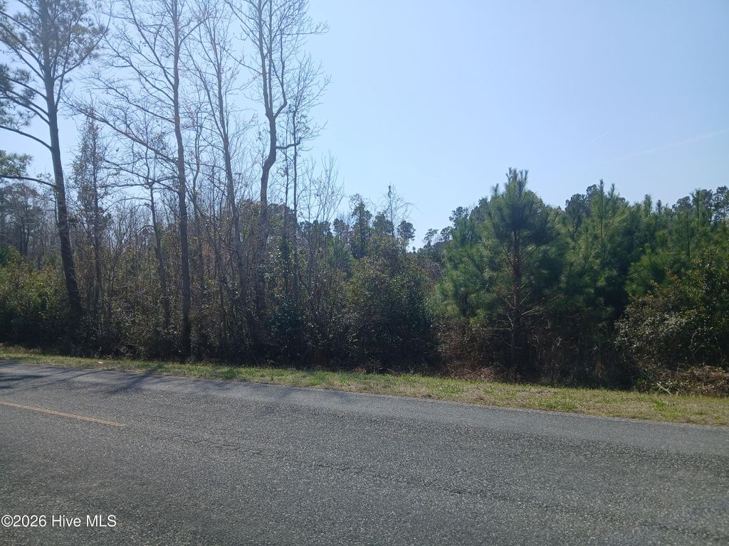 Photo of 400 Chadwick Acres Road, Sneads Ferry, NC 28460 (MLS # 100557985)