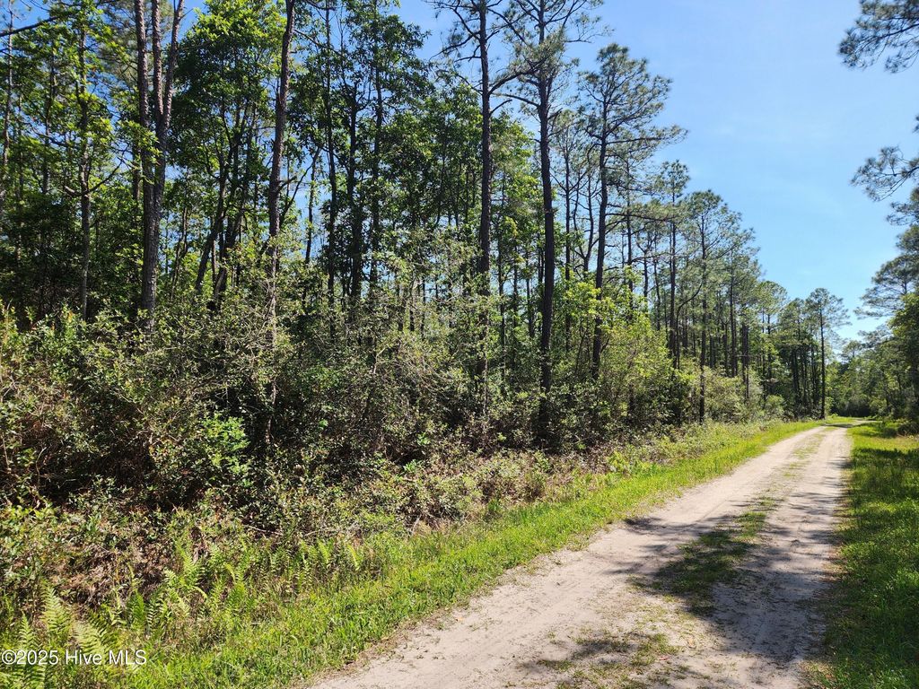 Photo of 60 Drake Road, Boiling Spring Lakes, NC 28461 (MLS # 100504382)