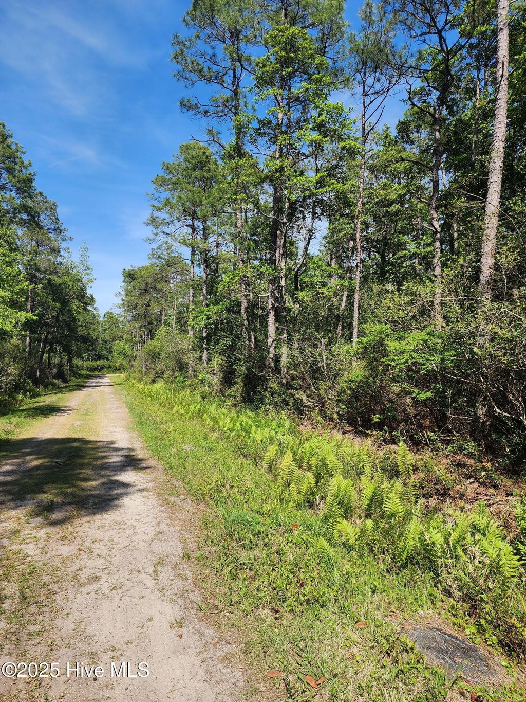 Photo of 60 Drake Road, Boiling Spring Lakes, NC 28461 (MLS # 100504382)