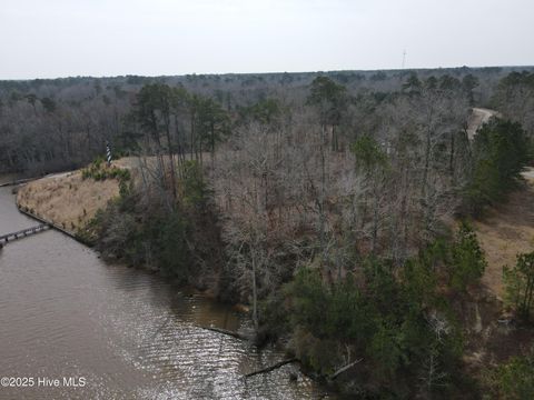 Vacant Land For Sale - LOT 10 Riverview Court<br/> Winton, NC 27986