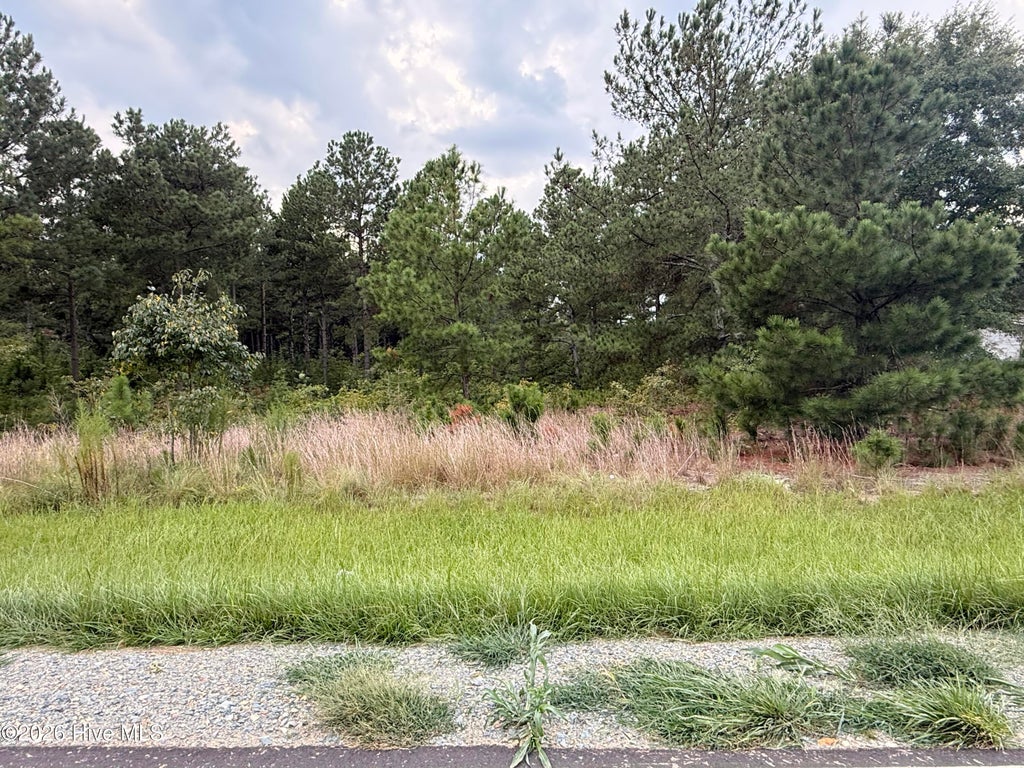 Photo of 1284 Windblow Road, Jackson Springs, NC 27281 (MLS # 100599813)
