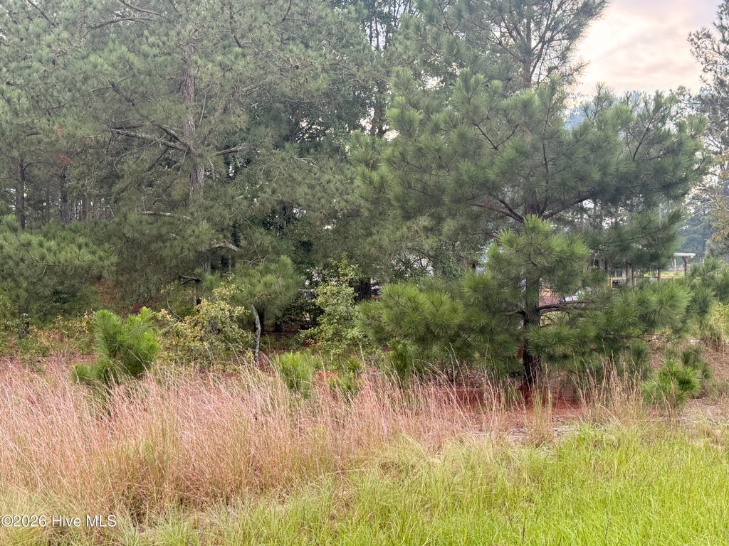 Photo of 1284 Windblow Road, Jackson Springs, NC 27281 (MLS # 100599813)