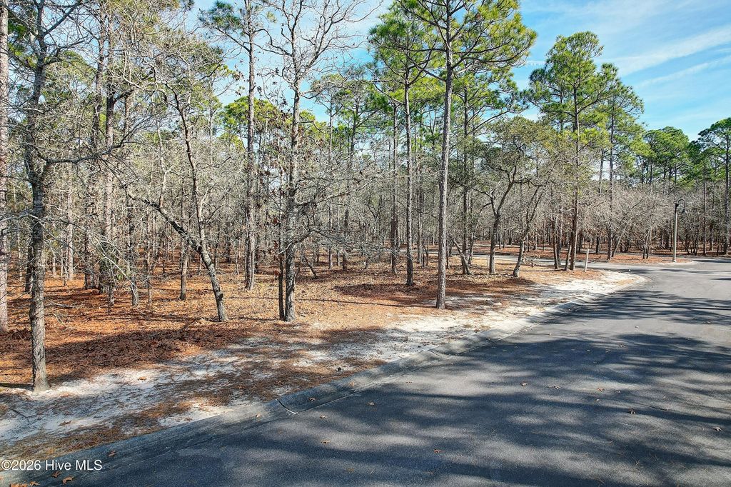 Photo of 2920 Verrazano Lane SE, Bolivia, NC 28422 (MLS # 100549061)