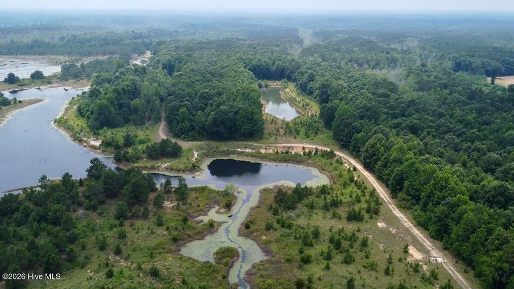 Photo of 5930 Titan Roberts Road, Erwin, NC 28339 (MLS # 100581933)