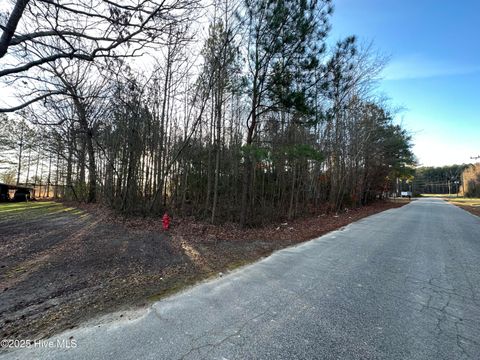 Vacant Land For Sale - TBD Pine Street<br/> Northampton County, Conway, NC 27820