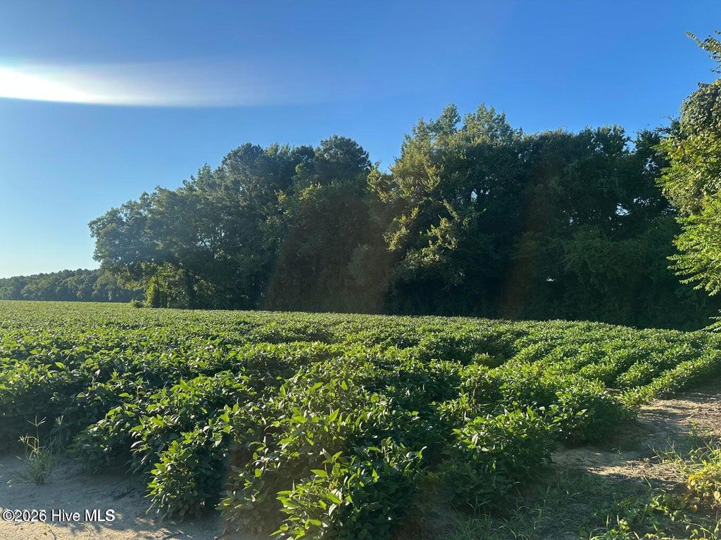 Photo of 0 Creech Road, Lucama, NC 27851 (MLS # 100552341)