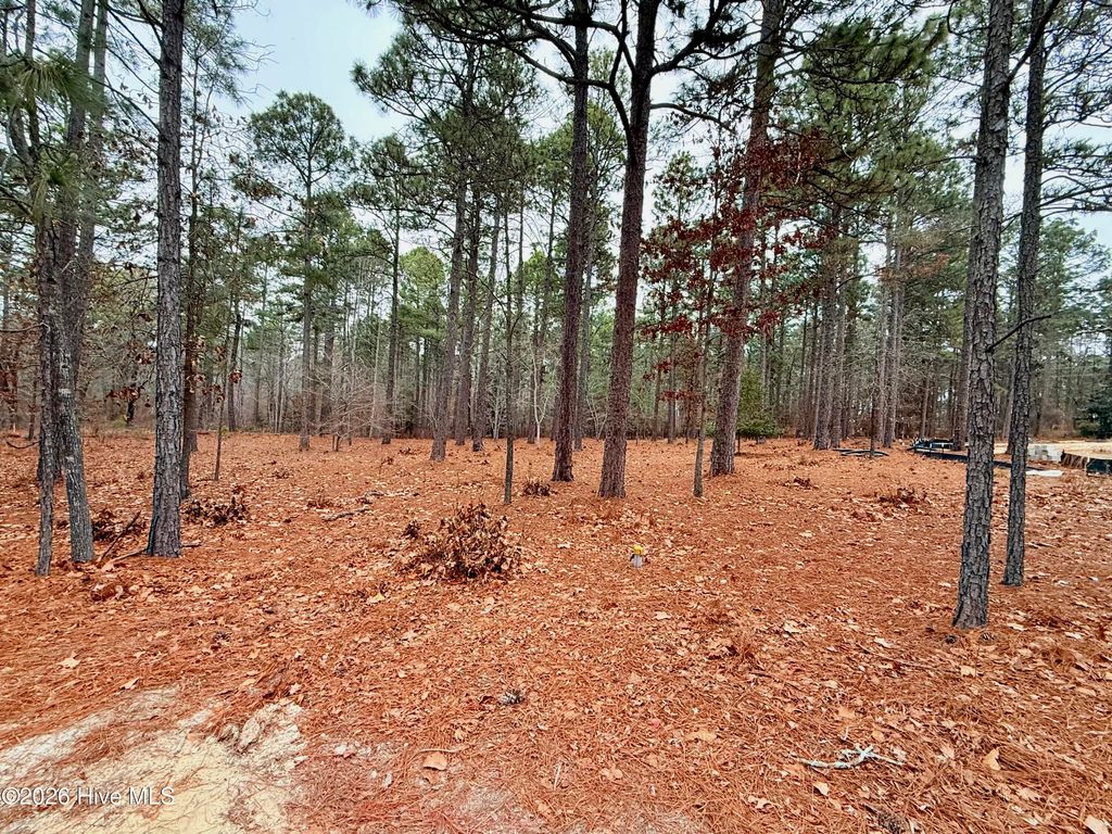 Photo of 14 Kilbride Drive, Pinehurst, NC 28374 (MLS # 100552322)