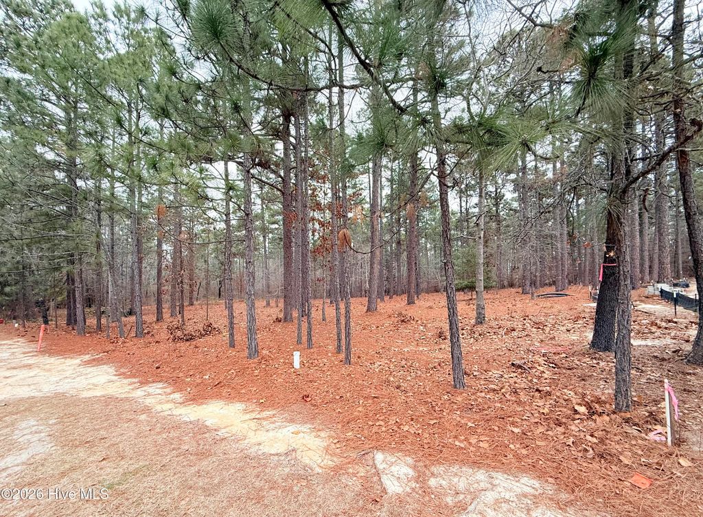 Photo of 14 Kilbride Drive, Pinehurst, NC 28374 (MLS # 100552322)