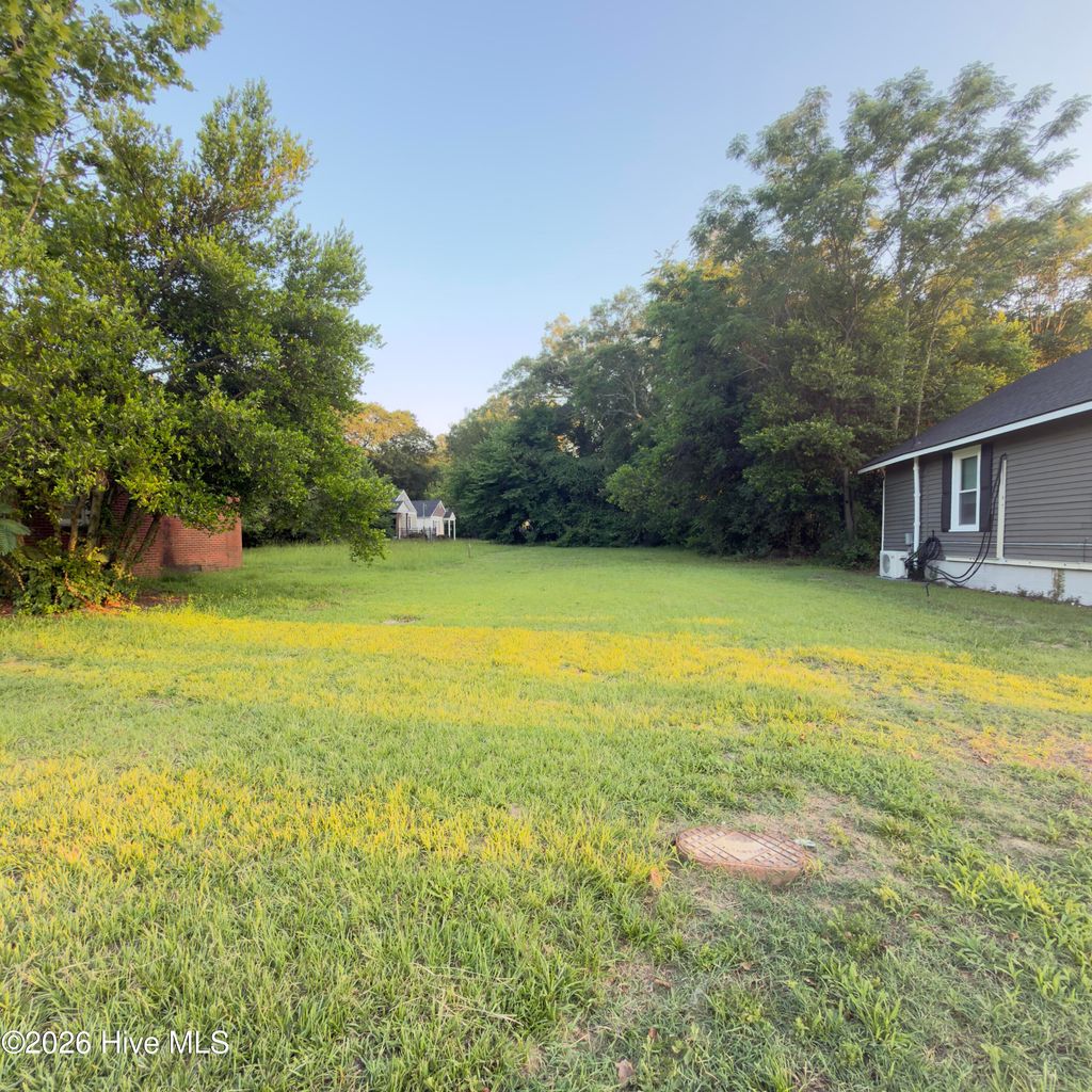 Photo of 1116 Atlantic Avenue, Goldsboro, NC 27530 (MLS # 100586247)