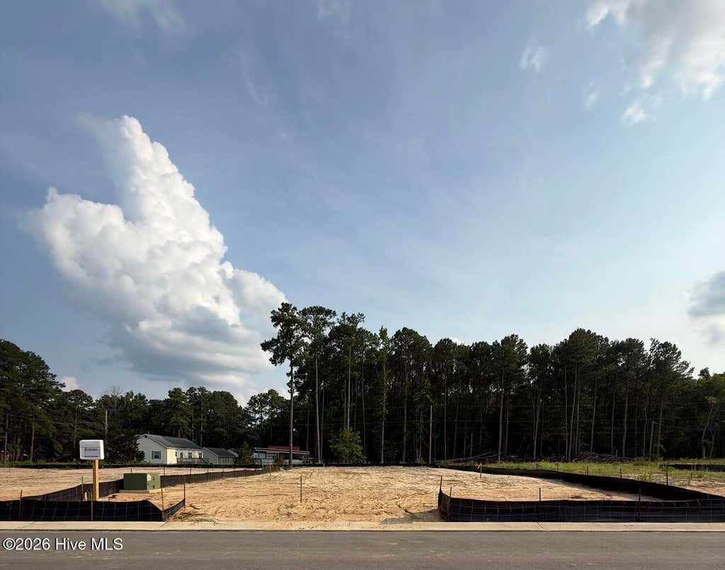 Photo of 123 White Bark Avenue #Lot 18, Rocky Mount, NC 27804 (MLS # 100596173)