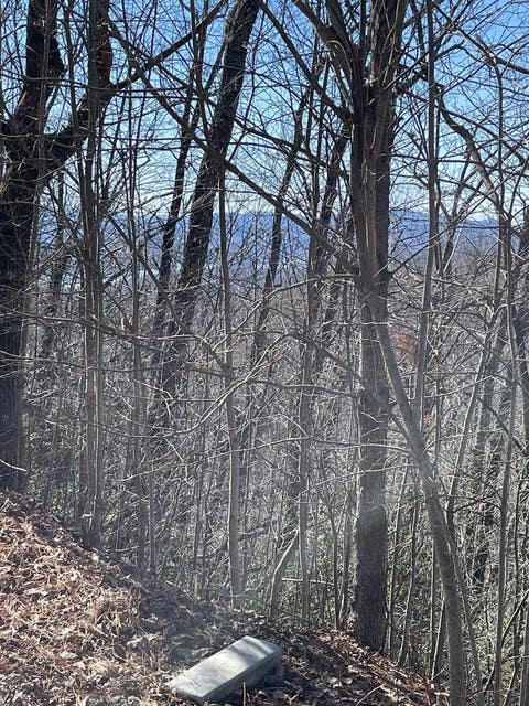 Vacant Land For Sale - LOT 29J Ash Branch Rd,<br/> Hayesville, NC 28904