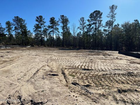 2918 64 W Timber Crest Lane NE Leland NC 28451