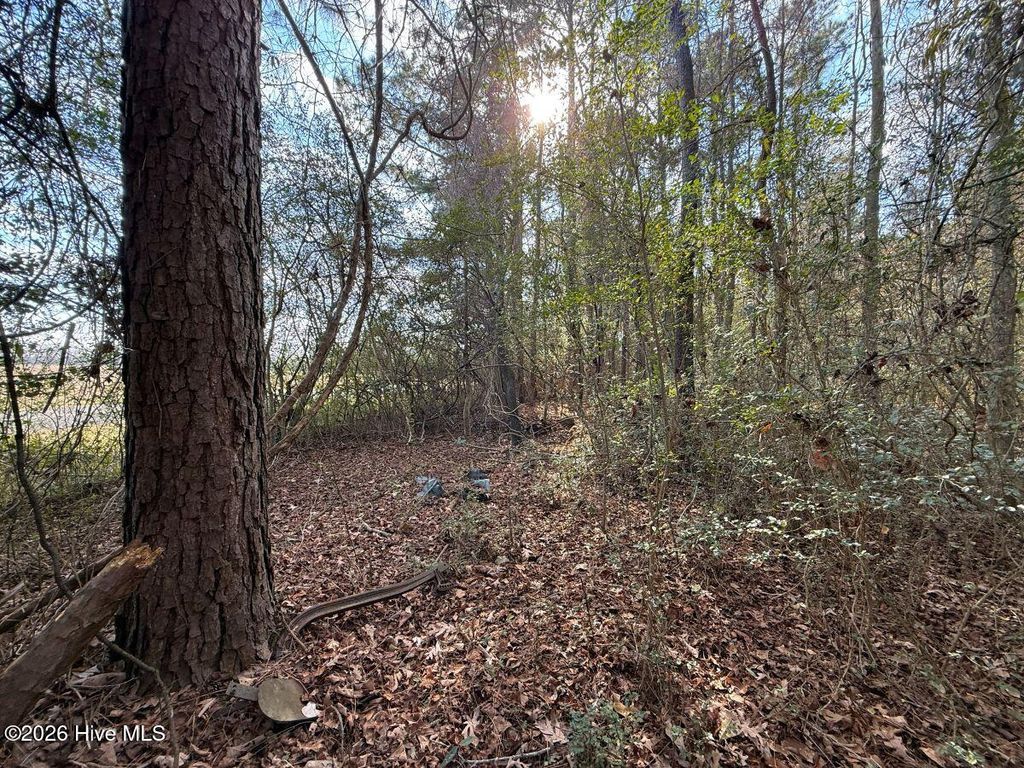 Photo of 5 Euray Moore Road, Warsaw, NC 28398 (MLS # 100549693)