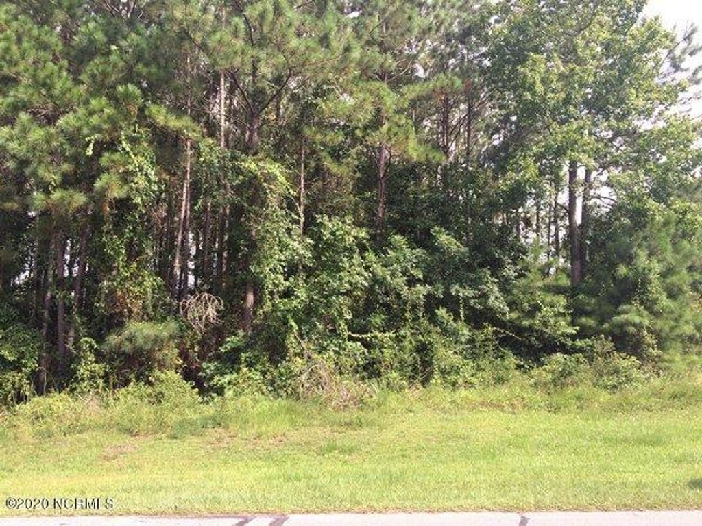 Photo of 933 Bayshore Drive, Wilmington, NC 28411 (MLS # 100243988)