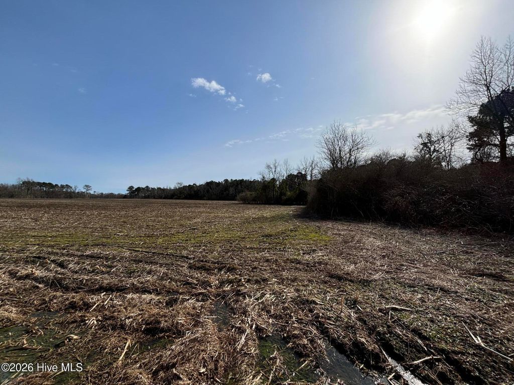 Photo of 0 James Road, Wallace, NC 28466 (MLS # 100554170)