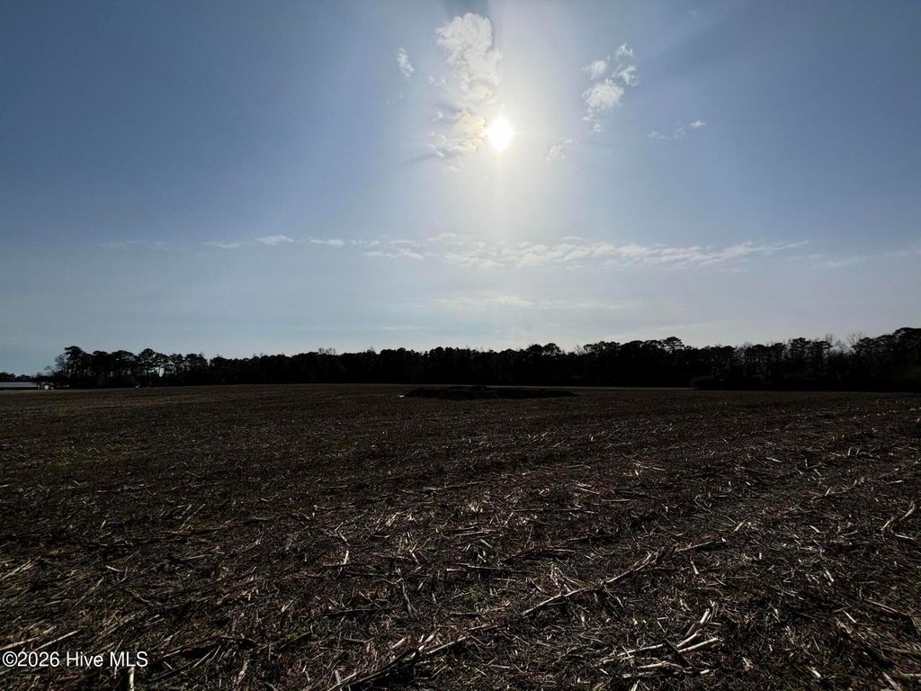 Photo of 0 James Road, Wallace, NC 28466 (MLS # 100554170)