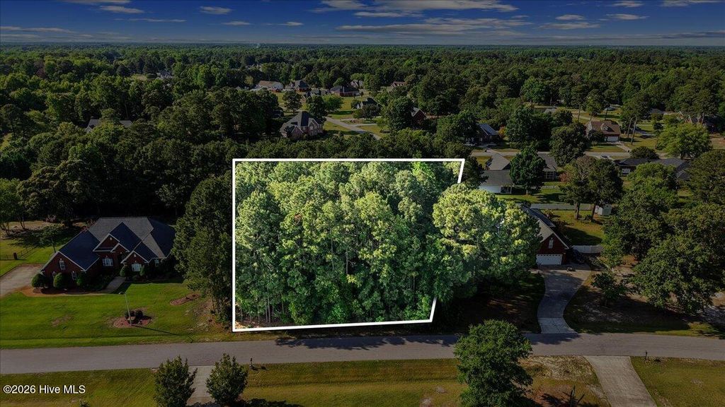 Photo of 305 Chancery Drive, Goldsboro, NC 27530 (MLS # 100575909)