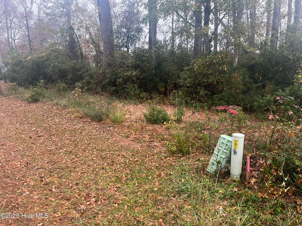 Photo of 1170 Wilson Avenue SW, Calabash, NC 28467 (MLS # 100544845)