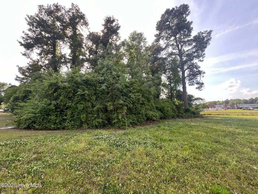 Photo of 64142 S Near 1718 S Madison Street, Whiteville, NC 28472 (MLS # 100573049)