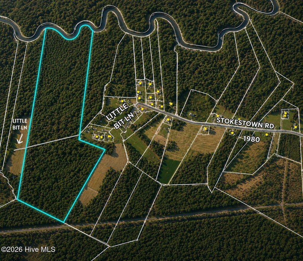 Photo of 0 Stokestown Road, Wallace, NC 28466 (MLS # 100573166)