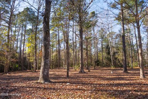 Tiny photo for 309 Knollwood Drive, Hampstead, NC 28443 (MLS # 100548871)