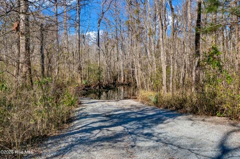 Tiny photo for 309 Knollwood Drive, Hampstead, NC 28443 (MLS # 100548871)