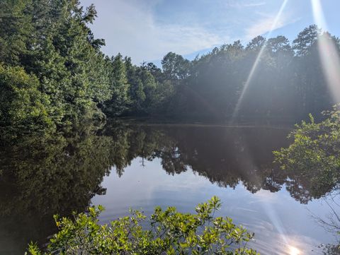 Vacant Land For Sale - 3085 Marshall Road<br/> Appling, GA 30802