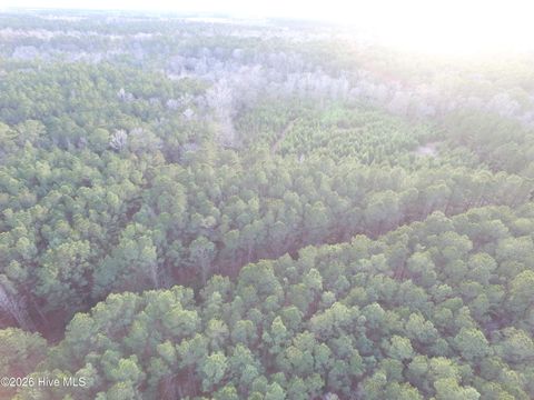 Tiny photo for 0 Shelter Creek Drive, Burgaw, NC 28425 (MLS # 100549145)