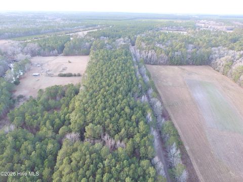 Tiny photo for 0 Shelter Creek Drive, Burgaw, NC 28425 (MLS # 100549145)