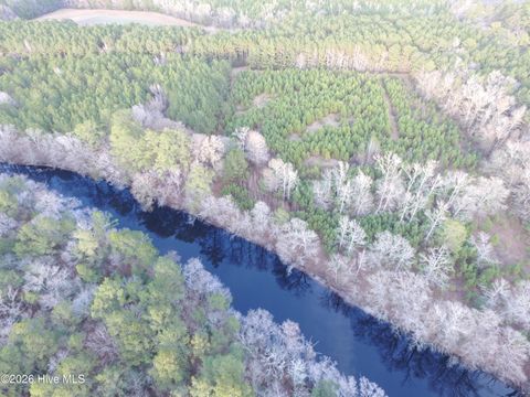 Photo of 0 Shelter Creek Drive, Burgaw, NC 28425 (MLS # 100549145)