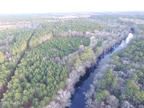 Tiny photo for 0 Shelter Creek Drive, Burgaw, NC 28425 (MLS # 100549145)