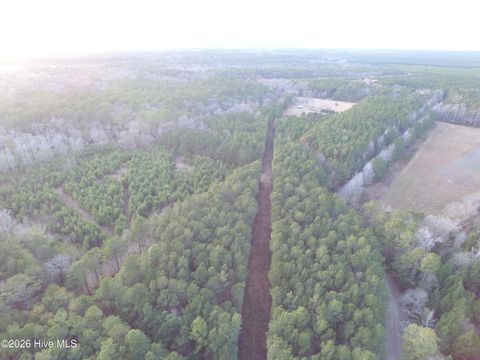 Tiny photo for 0 Shelter Creek Drive, Burgaw, NC 28425 (MLS # 100549145)