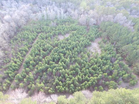 Tiny photo for 0 Shelter Creek Drive, Burgaw, NC 28425 (MLS # 100549145)