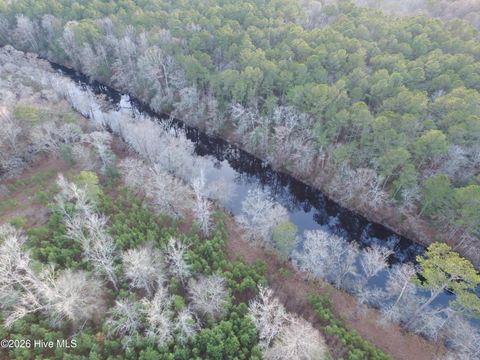 Tiny photo for 0 Shelter Creek Drive, Burgaw, NC 28425 (MLS # 100549145)