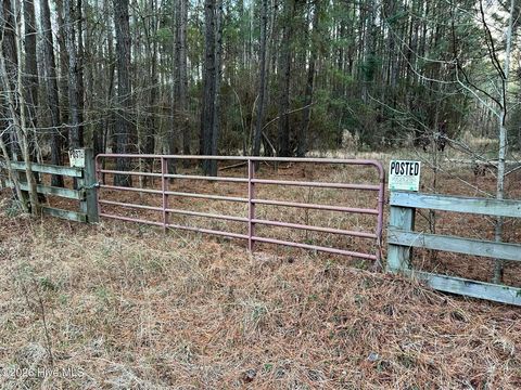 Tiny photo for 0 Shelter Creek Drive, Burgaw, NC 28425 (MLS # 100549145)