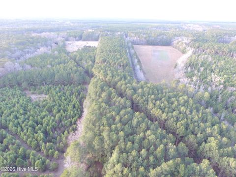 Tiny photo for 0 Shelter Creek Drive, Burgaw, NC 28425 (MLS # 100549145)