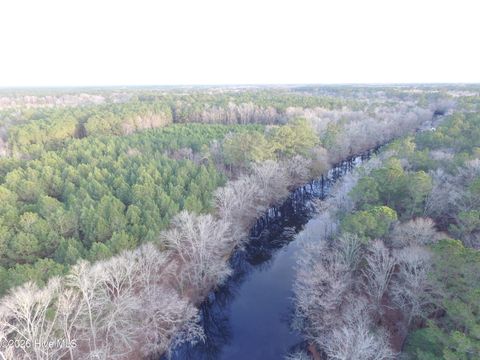 Tiny photo for 0 Shelter Creek Drive, Burgaw, NC 28425 (MLS # 100549145)