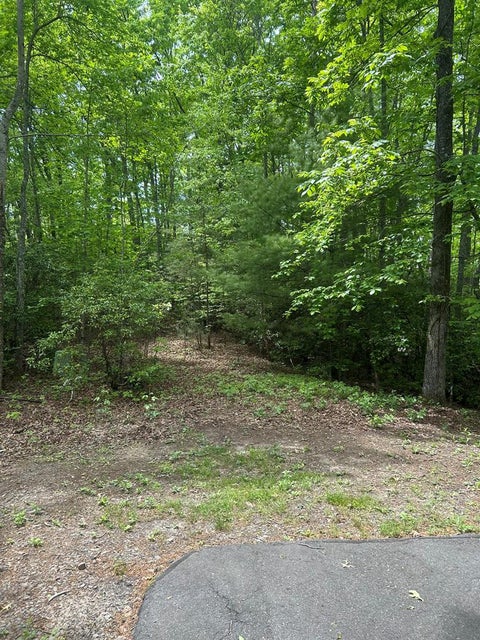 Vacant Land For Sale - 00 Sierra Springs<br/> Murphy, NC 28906