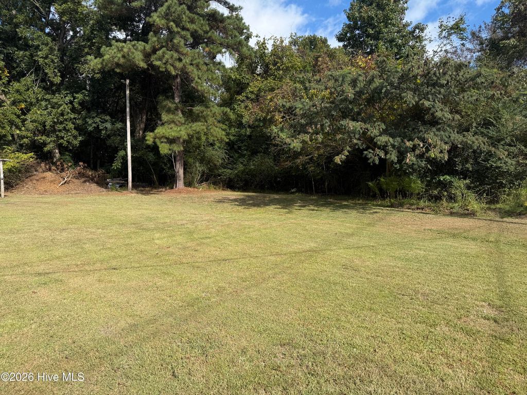 Photo of 1370 B'S Barbeque Road, Greenville, NC 27834 (MLS # 100569080)